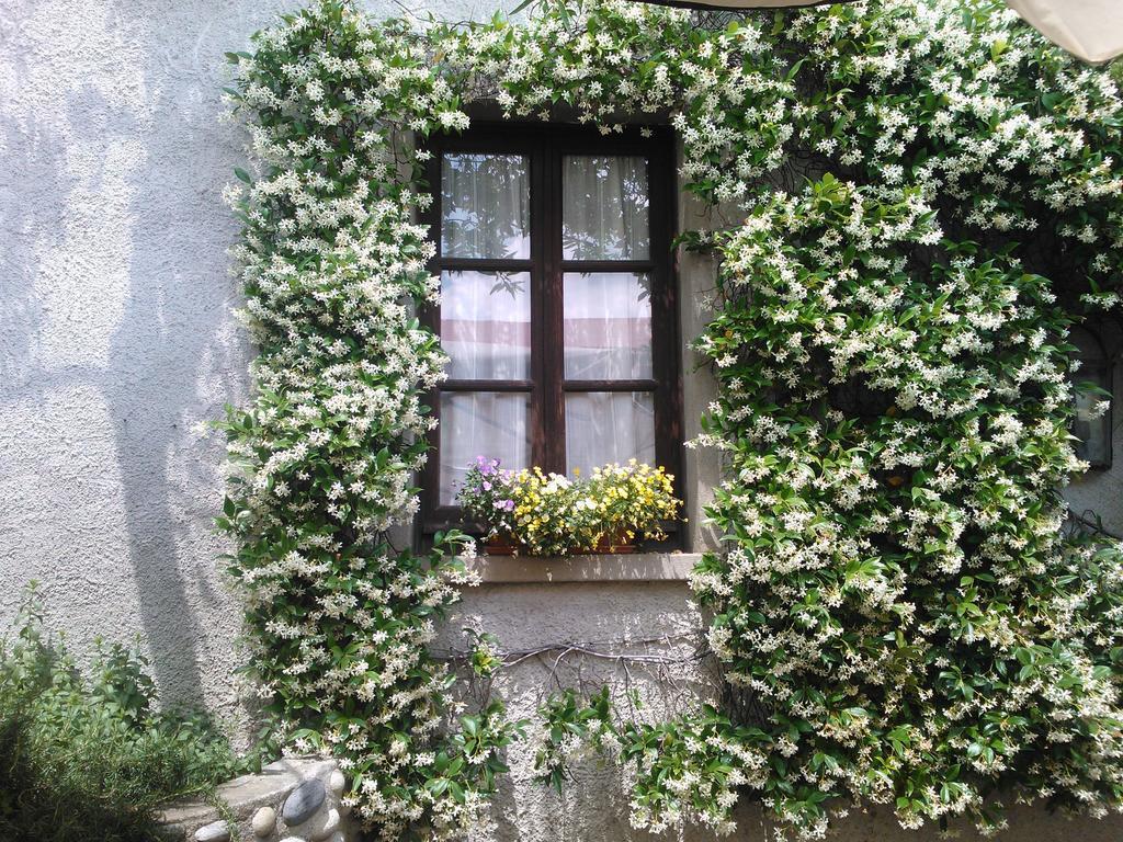 Agriturismo Cassinazza Orsenigo Cameră foto